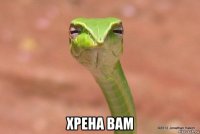  хрена вам