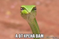  а от хрена вам