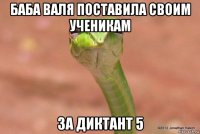 баба валя поставила своим ученикам за диктант 5