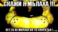 скажи я мьлаха !!! нет ть не милаха но ть упоротьй !