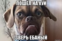 пошёл на хуй зверь ебаный