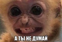  а ты не думай