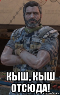  кыш, кыш отсюда!