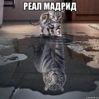 реал мадрид 