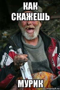 как скажешь мурик