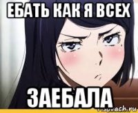 ебать как я всех заебала