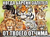 когда барсик залетел от твоего отчима