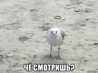  чё смотришь?