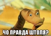  чо правда штоля?