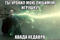 ты уронил мою любимую игрушку! авада кедавра