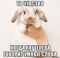 то чувство когда кошелева говорит умные слова