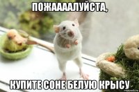 пожаааалуйста, купите соне белую крысу