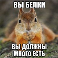 вы белки вы должны много есть