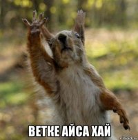  ветке айса хай