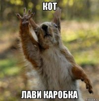 кот лави каробка