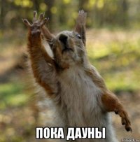  пока дауны