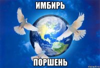 имбирь поршень