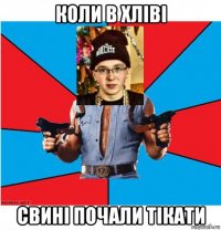 коли в хліві свині почали тікати