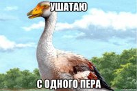 ушатаю с одного пера