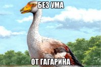 без ума от гагарина