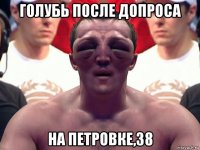 голубь после допроса на петровке,38