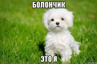 болончик это я
