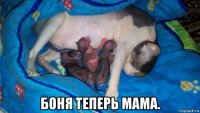  боня теперь мама.
