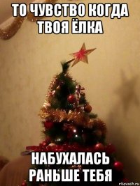 то чувство когда твоя ёлка набухалась раньше тебя