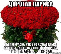 дорогая лариса ты прекрасна, словно роза, только разница одна: роза вянет от мороза, ты же, прелесть, — никогда!