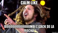 calm like boooooooooooomb(c)zack de la rocha