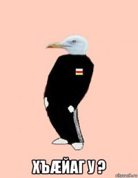  хъæйаг у ?