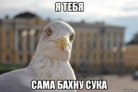 я тебя сама бахну сука