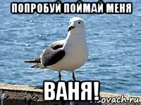 попробуй поймай меня ваня!