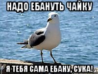 надо ебануть чайку я тебя сама ебану, сука!