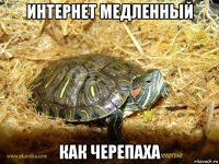 интернет медленный как черепаха