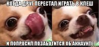 когда друг перестал играть в клеш и попросил позаботится об аккаунте