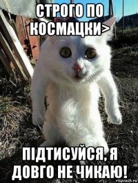 строго по космацки> підтисуйся, я довго не чикаю!