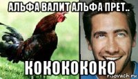 альфа валит альфа прет.. кококококо