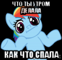 что ты утром делала как что спала