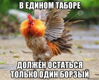 в едином таборе должен остаться только один борзый