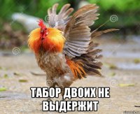  табор двоих не выдержит
