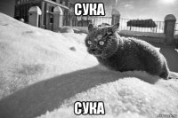 сука сука