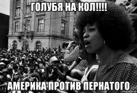 голубя на кол!!!! америка против пернатого