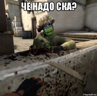 чё надо ска? 
