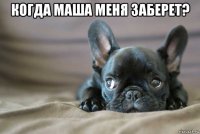 когда маша меня заберет? 