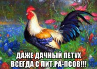  даже дачный петух всегда с лит.ра-псов!!!