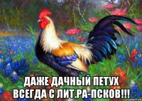  даже дачный петух всегда с лит.ра-псков!!!
