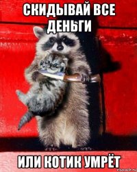 скидывай все деньги или котик умрёт