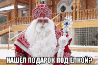  нашёл подарок под ёлкой?