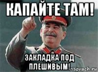капайте там! закладка под плешивым!